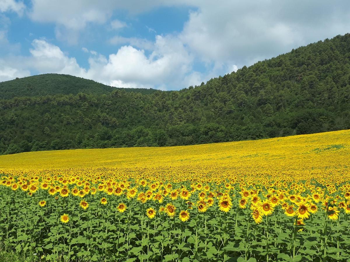Il Girasole Del Lago Piediluco Exterior foto